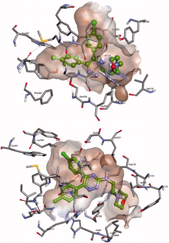 Figure 4. Docking simulations of compound (3d) with active sites of (a) COX-1 (PDB: 2OYE) and (b) COX-2 (PDB: 6COX), respectively.