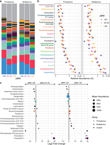 Figure 3. Taxonomic shifts with pBMI in pregnant gut microbiota. a-b, the relative abundances of the 20 most abundant genera in the maternal gut microbiota by pBMI < 25 (blue, n = 12), 25–30 (red, n = 10), and > 30 (yellow, n = 12) are shown as a, mean relative abundance in taxa bar plots and b, mean ± standard error of the mean for primiparous (pBMI <25, n = 7; 25–30, n = 6; >30, n = 7) and multiparous (pBMI <25, n = 5; 25–30, n = 4; >30, n = 5) participant with excess GWG. c, dot plots showing DESeq2 results of differentially abundant genera (mean abundance 150 reads) by pBMI category overall (filled dots) and in primiparous (no fill dots) and multiparous (stars) participants (dot size based on mean abundance, colors correspond to genus color in a where a differentially abundant genus is among the 20 most abundant genera).