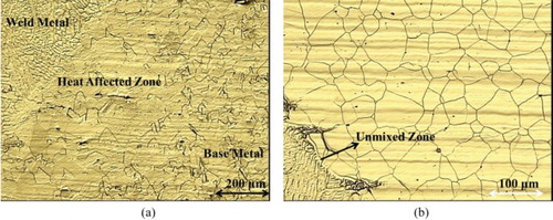 Figure 8. Interfaces between the filler 309 weld metal and the AISI 316 base metal (a) and between the filler 309 weld metal and the Incoloy 825 base metal (b).