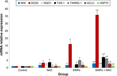 Figure 5 The activation of redox-mediated Nrf2 signaling pathway.Notes: The mRNA expressions of Nrf2 and its key downstream genes, including SOD2, NQO1, TXN-1, TXNRD-1, GCLC, and hsp70, were measured through quantitative real-time PCR. Data are expressed as mean ± SD from three independent experiments. *P<0.05 vs control; #P<0.05 for SiNPs vs SiNPs + NAC.Abbreviations: PCR, polymerase chain reaction; SD, standard deviation; SiNPs, silica nanoparticles; NAC, N-acetylcysteine.