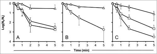 Figure 1. Effect of carrot, red pepper, and beetroot juice on the time-dependent decay of UV-irradiated phage particles. Values indicate means of 3 independent experiments ± standard deviations. (A): Carrot juice, circles: control without protectant, squares: 1% carrot juice, triangles: 10% carrot juice. (B): Red pepper juice, circles: control without protectant, triangles: 5% red pepper juice. (C): Beetroot juice, circles: control without protectant, squares: 1% beetroot juice, triangles: 10% beetroot juice.