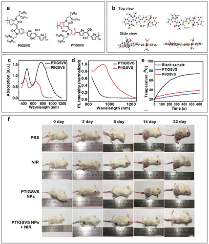 Figure 8. Enhanced photothermal conversion based on higher D–A strength in PTIGSVS. (a) Chemical structures of PIIGSVS and PTIGSVS. (b) Optimized conformation revealing more planar structures of PTIGSVS (right) than PIIGSVS (left). (C) Significant increase in UV–vis absorption of PTIGSVS CPNs in NIR range. (d) Quenching photoluminescence spectra of PTIGSVS CPNs. (e) Photothermal thermal effect of PIIGSVS CPNs under 808-nm laser indicating increasing temperature compared with that of PIIGSVS CPNs. (f) in vivo PTT images of mice bearing 4T1 tumors showing results of four treatment groups, including (i) PBS group, (ii) NIR group, (iii) PTIGSVS CPN group, and (IV) PTIGSVS NPs + laser group. Reprinted with permission from [Citation119]. .