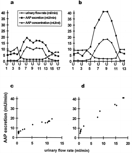 Figure 1. (a) and (b) Time course of urinary flow (-♦-), AAP excretion (-▪-) and urinary AAP concentration (-▴-) of two subjects. (c) and (d) Correlation between AAP excretion and urinary flow from data of Figs. 1a and 1b, respectively.
