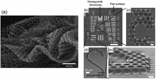 Figure 12. SEM image of a photocrosslinked honeycomb film of polycinnamate (a) and SEM images of photopatterned PB honeycomb films (b)–(e). Reproduced with permission from [Citation102,Citation103] (Copyright 2010, Royal Society of Chemistry).