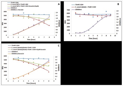 Figure 3. Analysis of DsbA enzymatic activity in vivo. Wild type (A), ΔdsbA (B) and complemented (ΔdsbA /pDsbA) (C) Shigella sonnei strains were grown in LB-broth supplemented with E-GSH (75 nM) in the absence and presence of geraniol (42 µM). Bacterial growth was measured by optical density (OD600 nm; right axes) over time. The formation of Di-E-GSSG was measured by relative fluorescence units (RFUs; left axes) with excitation at 525 nm and emission at 545 nm using a Spectramax microplate reader M5 (Molecular device) over time. The experiments were repeated twice (n = 2) in triplicates each time and pooled data were used to generate the graphs. Error bars were removed for clarity.