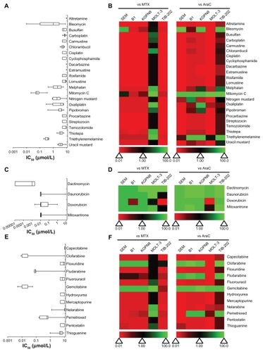 Figure 2 IC50 and relative effectiveness of nucleic-acid targeting drugs. (A and B) DNA damaging agents. (C and D) DNA intercalating agents. (E and F) Nucleic acid synthesis inhibitors. (A, C and E) The IC50 (μmol/L) from five leukemia cell lines are shown in a box-whisker plot. (B, D and F) Heat map of drug effectiveness compared with MTX or AraC. Values are a ratio of the IC50 of MTX or AraC to the IC50 of each drug. Green, black, and red represent superior, equivalent, and inferior activity, respectively, to MTX or AraC.