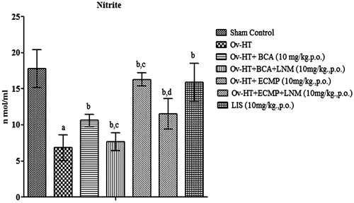 Figure 10. Effect of pharmacological intervention on serum nitrite in ovariectomized hypertensive rats.
