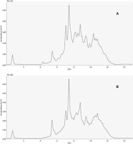 Figure 1 Chromatograms representing serum metabolic fingerprints of TBE patient samples and control samples obtained with LC-MS in positive ionization mode on reverse C18 column. (A) TBE patient sample; (B) control sample.
