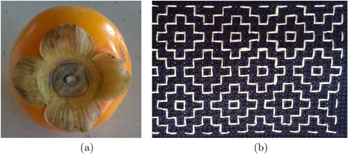 Figure 12. (a) A persimmon (kaki) fruit with sepals, part of the flower (hana) remaining when the fruit forms, and (b) the stitch named kakinohanazashi. The pattern is generated by the words v = 010 and w=uu~ where u = 1010.