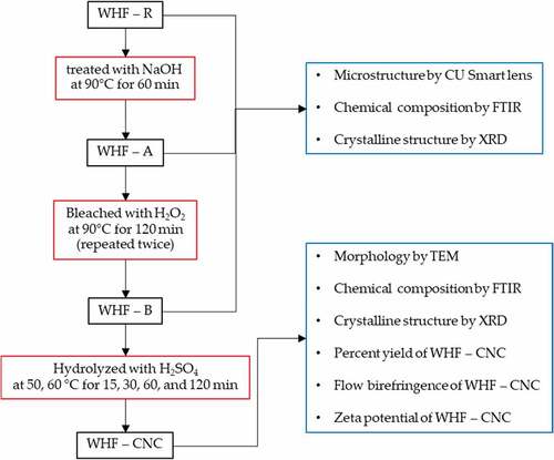 Figure 1. The flow diagram of the purification and extraction process for WHF-CNC.