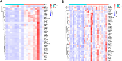Figure 3 The expression of pyroptosis-related DEGs, which shows a gradual change in color from blue to red, indicating the change in the Z-score from small to large. (A) The heat map shows the expression differences of 39 pyroptosis-related DEGs in the GSE157159 dataset. (B) The heat map shows the expression differences of 39 pyroptosis-related DEGs in the validation dataset of GSE159574.