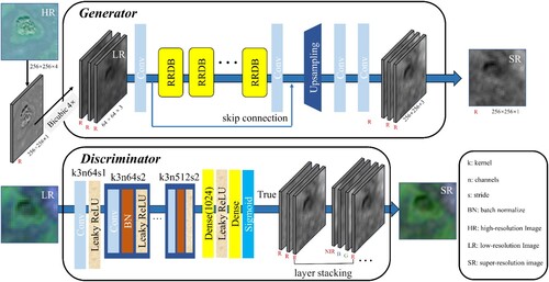 Figure 6. The structure of enhanced super-resolution generative adversarial network (ESRGAN).