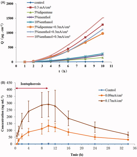 Figure 4. Effect of chemical penetration enhancers on the penetration of IDDS-TEH and pharmacokinetics of IDDS-TEH in rats. (A) Permeation kinetic curves of TEH under different chemical penetration enhancers (n = 4). (B) TEH blood concentration-time curve (n = 6).