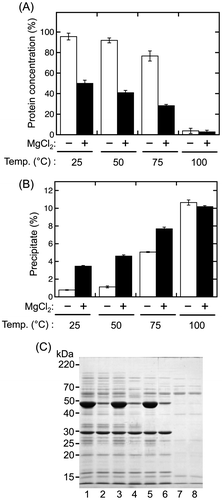 Fig. 4. Magnesium chloride-dependent precipitation of sword bean proteins.