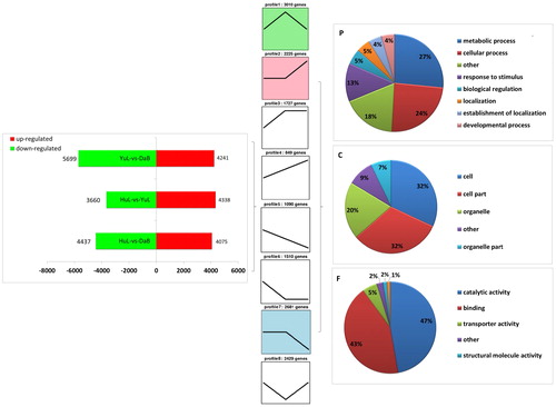 Figure 3. Cluster analysis of gene ontology (GO) terms on differentially expressed genes in the leaflets of Caragana korshinskii collected from three sampling sites (Huangling, Yulin and Dalad Banner) along a precipitation gradient of Loess Plateau. Profiles 2–4 indicate differentially expressed genes with an up-regulated trend; profiles 5–7 indicate differentially expressed genes with a down-regulated trend. P, C and F indicate biological process category, cellular component category and molecular function category, respectively.