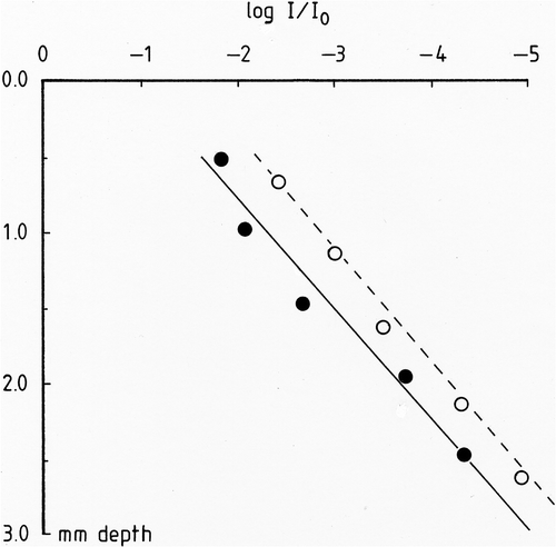 Fig. 4. Light absorption in Rivularia colonies as a function of depth. Filled circles, R. haematites; open circles, R. biasolettiana. Linear regression lines for R. haematites (full) and R. biasolettiana (broken) are included.