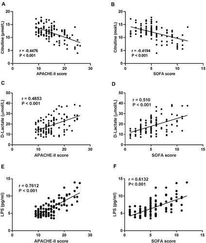 Figure 1 Correlation analysis between the serum levels of citrulline, D-lactate, and lipopolysaccharide (LPS) and the APACHE-II and SOFA scores. (A) Citrulline was negatively correlated with APACHE-II score; (B) citrulline was negatively correlated with SOFA score; (C) D-lactate was positively correlated with APACHE-II score; (D) D-lactate was positively correlated with SOFA score; (E) LPS was positively correlated with APACHE-II score; (F) LPS was positively correlated with SOFA score.