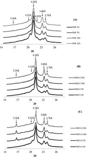 Figure 5. Diffractograms of pure soft PMF (A), PMF0.5 (B), and PMF1.0 (C) after 1, 7, 14, and 21 days at 25°C. See Fig. 1 for an explanation of abbreviations.