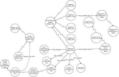 Figure 10. Chronic kidney disease and hepatitis B relation.