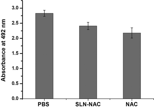 Figure 9. Cytotoxicity of PBS (control), NAC and SLN-NAC.