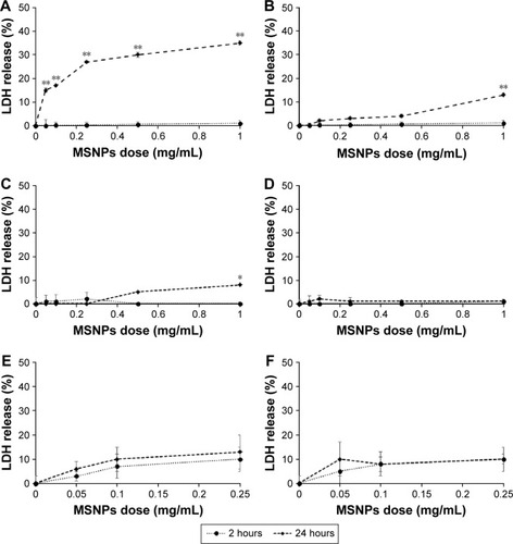 Figure 3 Effect of MSNP treatment on membrane integrity assessed by LDH-release assay.Notes: HUVECs (A, B) and HCMEC (C, D) and SKNSH cell lines (E, F) were incubated with different concentrations, ranging from 0.05 to 1 mg/mL of MSNP of 250 nm (A, C, E) or 30 nm (B, D, F) for 2 and 24 hours. LDH release was evaluated by LDH assay. Results are reported as percentages using untreated cells as a control. Data reported as mean ± standard error of triplicate experiments. Results were compared by Student’s t-test. *P<0.05; **P<0.01; 0 dose of MSNPs indicates untreated cells.Abbreviations: MSNP, mesoporous silica nanoparticle; HUVECs, human umbilical vein endothelial cells; LDH, lactate dehydrogenase.