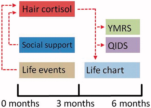 Figure 1. Schematic overview of the assessment moments and the analyzed relationships between the different measurements. We investigated the influence of life events, social support, stability (life chart) and mood (QIDS, YMRS) on hair cortisol levels that were assessed at the 3-month assessment, and whether hair cortisol levels from the 3-month assessment had an influence on mood and stability as reported at the 6-month assessment.