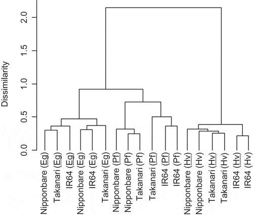 Figure 2. Cluster analysis of the bacterial community in rice root-associated soil based on terminal restriction fragments profile in PF4. Eg, early growth stage; Pf, panicle formation stage; Hv, harvesting stage. Underlines indicate KH32C inoculation