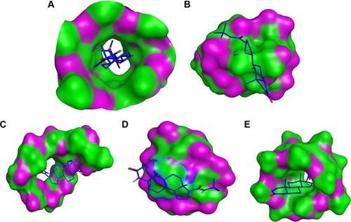 Figure 7 Binding mode of FIN (blue sticks) into DM-β-CyD (A), HP-β-CyD (B), SBE-β-CyD (C), CM-β-CyD (D), and β-CyD (E).