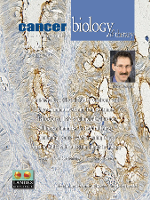 Cover image for Cancer Biology & Therapy, Volume 8, Issue 12, 2009