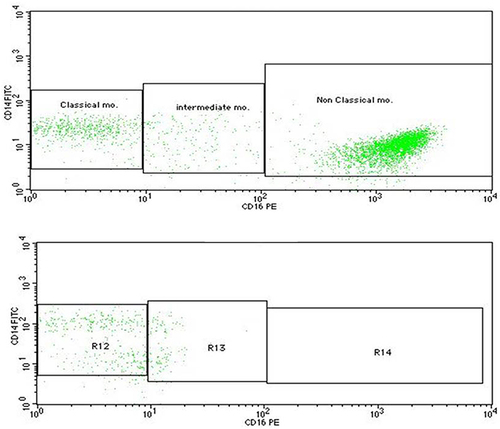 Figure 2 Monocyte subsets (classical, intermediate, and non-classical monocytes) on gated monocytes. The upper part of the figure shows marked increase in non-classical monocytes. The lower part of the figure shows decreased intermediate and absent non-classical monocytes.