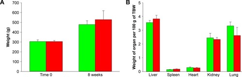 Figure 2 Body and organ weights of the vehicle control (green)- and FNDP-(NV)-treated (red) rats prior to the onset of the study and at its termination.Notes: (A) Comparison of rats’ body weights at baseline and after 8 weeks of progression of experiment. (B) Comparison of organ weights after 8 weeks (control) and 12 weeks (FNDP-(NV) treated) of treatment, expressed as per 100 g of the total body weight. Error bars represent SD for the control group (n=5) and the FNDP-(NV) group (n=6). There was no significance difference between the control and FNDP-(NV) groups (P>0.05, two-tailed Student’s t-test).Abbreviations: FNDP-(NV), fluorescence nanodiamonds particles with NV active centers; TBW, total body weight.
