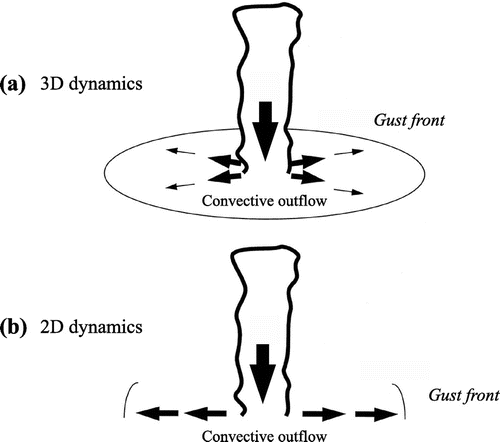 Fig. 4. Schematic of expected differences in surface winds between a 3D (a) and a 2D (b) simulation. The arrows indicate the surface winds resulting from downdraught spreading at the surface as a cold pool, with thicker arrows representing higher velocities – adapted from Tompkins (Citation2000), © Copyright 2000 AMS.