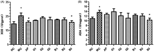 Figure 5. Effects of GTEs (A) and BTEs (B) on hepatic XOD and ADA in hyperuricemic mice. N = 6 per group. NC: normal control; MC: model group; AP: allopurinol (5 mg/kg); G1, G2 and G3 mean 0.5, 1 and 2 g/kg GTEs; B1, B2 and B3 mean 0.5, 1 and 2 g/kg BTEs; *p < 0.05, compared with the control group; #p < 0.05, compared with the model group.