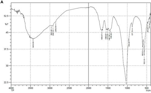 Figure 3 Spectrum image of dentin.