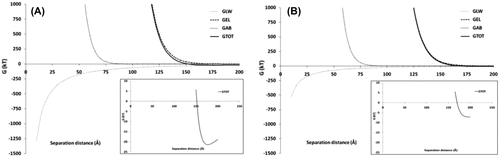 Fig. 6. XDLVO analysis. Aggregation energies as a function of separation distance for (A) Synechocystis PCC 6803 and (B) Synechococcus PCC 7002. G—interaction energy, GLW—interaction energy due to Lifschitz–van der Waals component, GEL—interaction energy due to electrostatic component, GAB—interaction energy due to acid–base component, GTOT—total interaction energy. Insets show the formation of the predicted secondary minimum at which reversible cell aggregation might occur.