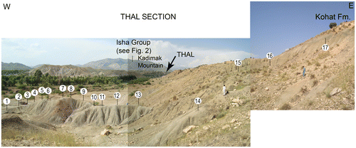 Figure 5. Field aspects and distribution of samples in the THAL Section along the eastern bank of Ishkalai River, Thal. Kadimak Mountain is at the background.