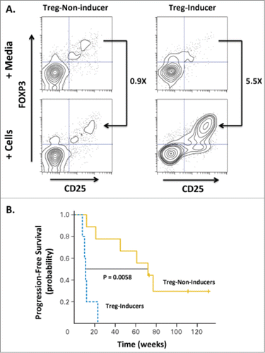 Figure 3. Induction of Tregs correlates with decreased progression-free survival in patients treated with low-grade B cell lymphoma. Fifteen patients were treated with intratumoral injection with a TLR9 agonist (PF-3512676, 6 mgs per injection) into a single tumor followed by low-dose radiation. The TLR9 agonist was injected immediately prior to radiotherapy, after a second dose of radiotherapy, then weekly for up to 8 weeks. Clinical responses were evaluated based on assessment of non-injected/non-irradiated lesions. (A) The ability of CpG-activated tumor B cells to stimulate induction of Tregs (CD25+FOXP3+CD4+) cells was assessed by incubating peripheral lymphocytes isolated from the blood of pre-vaccinated patients either with media alone or tumor cells isolated from tumor sites treated with CpG and low-dose radiation. Flow cytometric analysis revealed a dichotomous Treg-induction phenotype with one group showing minimal increases in Tregs upon co-incubation with malignant, treated B cells (“Treg-Non-Inducer”) and the other group demonstrating enhanced Treg induction (“Treg-Inducer”). (B) Progression-free survival of these two groups revealed a significant correlation of Treg induction with decreased PFS (P = 0.0058), suggesting that induction of a Treg response may limit the effectiveness of in situ vaccination therapies. Adapted from Brody-JD, JCO V28 N28, 2010.Citation13 Used by permission.