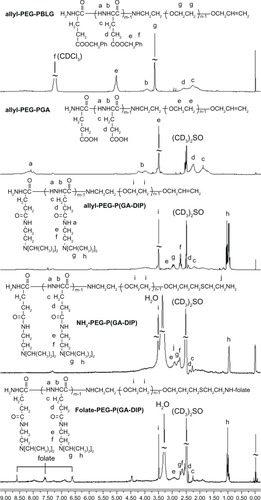 Figure 2 Citation1H-NMR spectrums of allyl-PEG-P(GA-DIP)’s conversion from allyl-PEG-PBLG to folate-PEG-P(GA-DIP).Abbreviations: Citation1H-NMR, proton nuclear magnetic resonance; PBLG, b-poly(γ-benzyl L-glutamate); PEG-P(GA-DIP), poly(ethylene glycol)-b-poly[N-(N′,N′-diisopropylaminoethyl) glutamine]; PGA, poly(L-glutamic acid).