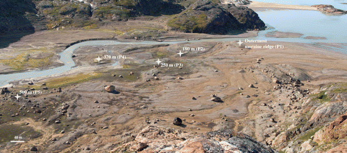 FIGURE 2 Overview of the sampling locations in the proglacial Mittivakkat Valley looking southwest. The present glacier front is located 1 km east from the innermost site (P5). Photo: Ebbe N. Bak.