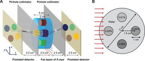 Figure 1 MC simulation geometry and imaging water phantom.Notes: (A) MC simulation geometry for pinhole K-shell XRF imaging system and (B) imaging water phantom where four columns are assumed to have different concentrations of either gadolinium (Gd) or gold (Au) nanoparticles. The red arrows indicate the incident fan-beam X-rays. Gd or Au columns of 0.01 wt%, 0.03 wt%, 0.06 wt%, and 0.09 wt% are located left, in, out, and right with respect to the incident direction of X-rays, respectively.Abbreviations: MC, Monte Carlo; XRF, X-ray fluorescence; Gd, gadolinium; Au, gold; wt, weight.