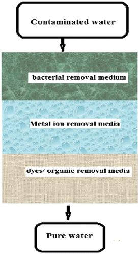 Figure 12 A working model for biological water filter