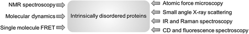 Figure 1. Tools for analysis of the dynamic conformation of IDPs. Atomic level descriptions of disordered protein ensembles are facilitated by quantitative observables from NMR spectroscopy and single molecule fluorescence techniques, which can be combined with computational methods (left panel). Overall molecular features, biophysical properties and morphologies of IDPs and IDP aggregates can be obtained from the experimental methods shown to the right.
