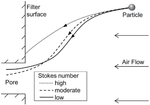 Figure 9. Trajectories for particles with different Stokes number approaching a Nuclepore filter.