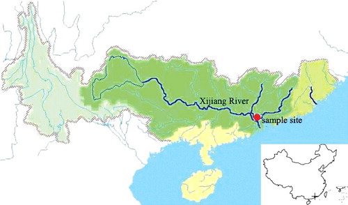 Figure 1. Sampling site (23°08′12″ N, 112°48′7″ E) locating at the Xijiang River is about 140 kilometres from seaport. The Xijiang River cover a full distance of over 2214 kilometres.