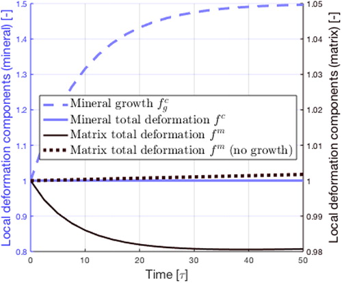 Figure 1. Evolution of the mineral (light blue) fc and matrix (dark) fm respective deformations with time. Dark dotted: total matrix deformation with no growth (α=0). Light dashed curve: evolution of the growth component of the mineral deformation fgc.