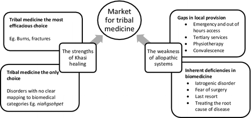 Figure 2. Creating a space for traditional healing on the margins of biomedicine.