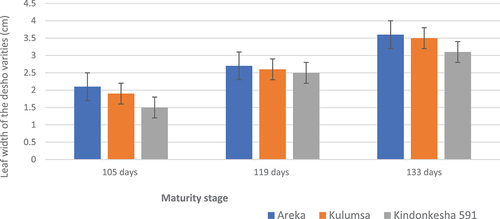 Figure 5. The width of leaf for three desho varieties at three maturity stage.