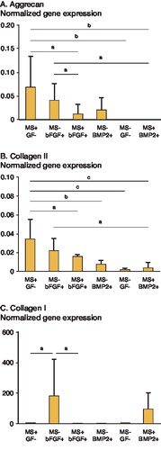 Figure 7.  Effects of dynamic compressive loading (for 60 min/day) in combination with growth factor (100 ng/mL bFGF or 100 ng/mL BMP-2) on aggrecan, collagen II, and collagen I gene expression of chondrocytes in 3D scaffold (relative to GAPDH gene expression). These growth factors did not have a synergistic effect under dynamic compressive loading. Results are expressed as mean (95% confidence limit); n = 7. Comparison of mean values was performed by one-factor ANOVA analysis. MS: mechanical stress; GF: growth factor. a p < 0.05, b p < 0.01, c p < 0.001.