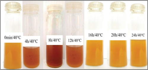 Plate 3. Reaction mixtures after placing them at 40°C for seven different time intervals.