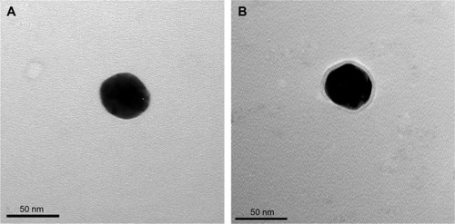 Figure 3 TEM images of (A) bare AuNPs and (B) f-AuNP-1. A layer of shell with less contrast than AuNPs was observed after functionalization with 4-(2-(2-(2-mercaptoethoxy) ethoxy)ethoxy)benzaldehyde.Abbreviations: AuNPs, gold nanoparticles; TEM, transmission electron microscopy.